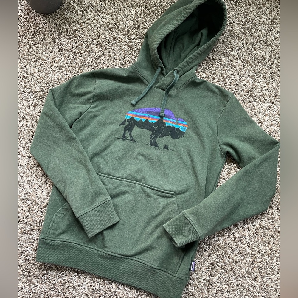 Patagonia Green Hoodie with Multicolor Graphic